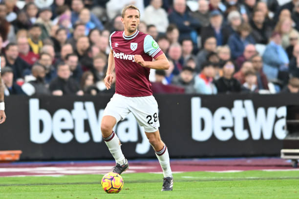 职业生涯的 职业生涯的